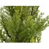 EUROPALMS Leyland-sypressi tekokasvi, 90 cm, musta ruukku 82606962