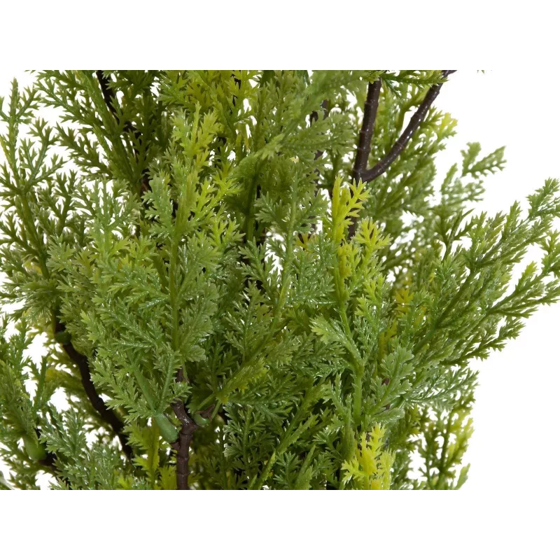 EUROPALMS Leyland-sypressi tekokasvi, 90 cm, musta ruukku 82606962