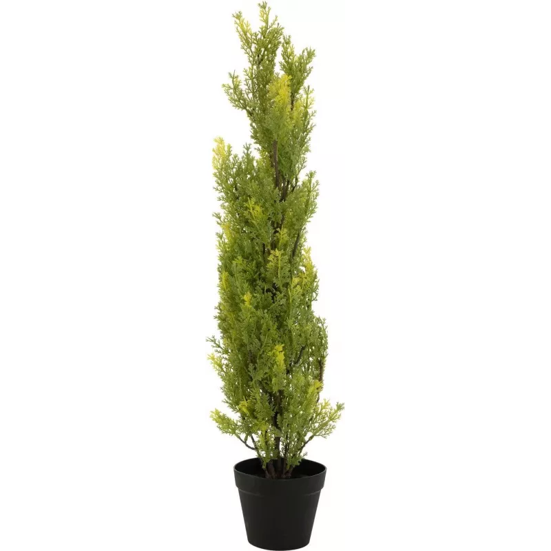 EUROPALMS Leyland-sypressi tekokasvi, 90 cm, musta ruukku 82606962