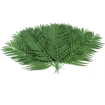 EUROPALMS tekokasvi kookospalmun lehdet, 90 cm, 12 kpl, vihreä 82509896