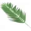 EUROPALMS tekokasvi kookospalmun lehdet, 90 cm, 12 kpl, vihreä 82509896