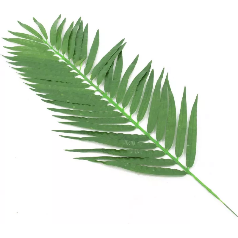 EUROPALMS tekokasvi kookospalmun lehdet, 90 cm, 12 kpl, vihreä 82509896