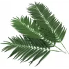 EUROPALMS tekokasvi kookospalmun lehdet, 90 cm, 12 kpl, vihreä 82509896