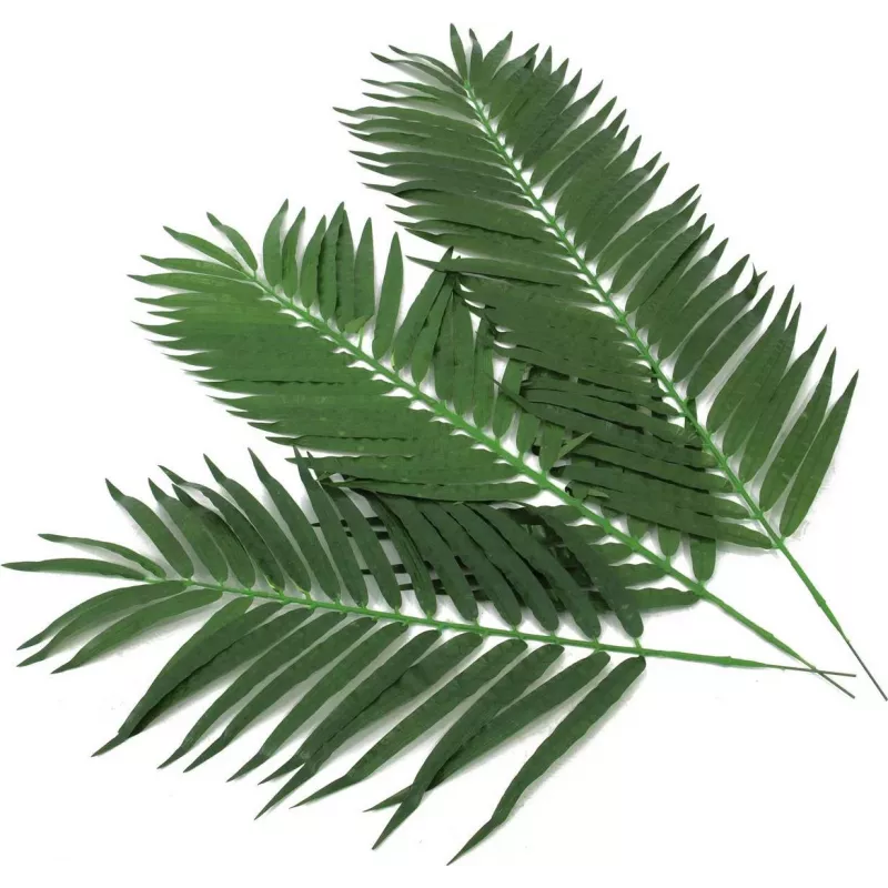 EUROPALMS tekokasvi kookospalmun lehdet, 90 cm, 12 kpl, vihreä 82509896