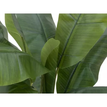 EUROPALMS keinotekoinen banaanipuu, 120 cm, realistiset vihreät lehdet, musta ruukku 82509537
