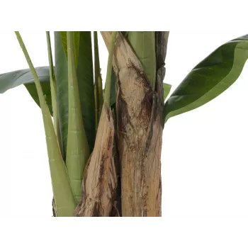 EUROPALMS keinotekoinen banaanipuu, 120 cm, realistiset vihreät lehdet, musta ruukku 82509537