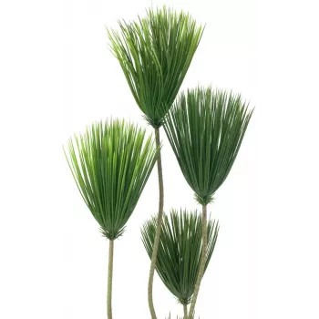 EUROPALMS papyrus tekokasvi, 130 cm 82600235