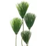EUROPALMS papyrus tekokasvi, 130 cm 82600235
