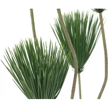 EUROPALMS papyrus tekokasvi, 130 cm 82600235