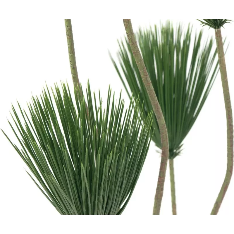 EUROPALMS papyrus tekokasvi, 130 cm 82600235