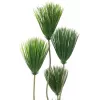EUROPALMS papyrus tekokasvi, 130 cm 82600235