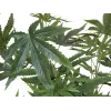 EUROPALMS keinotekoinen hamppukasvi, 120 cm, vihreä, musta ruukku 82506693