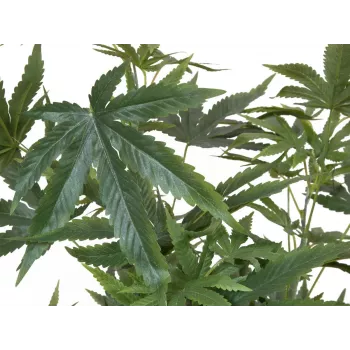 EUROPALMS keinotekoinen hamppukasvi, 120 cm, vihreä, musta ruukku 82506693