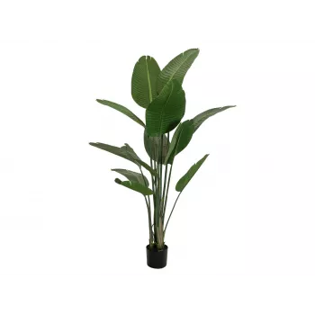 EUROPALMS keinotekoinen strelitzia, 170 cm 82540523