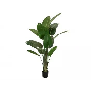 EUROPALMS keinotekoinen strelitzia, 170 cm 82540523