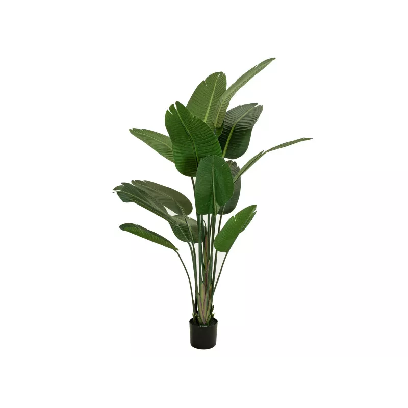 EUROPALMS keinotekoinen paratiisinlintukukka, 170 cm 82540523