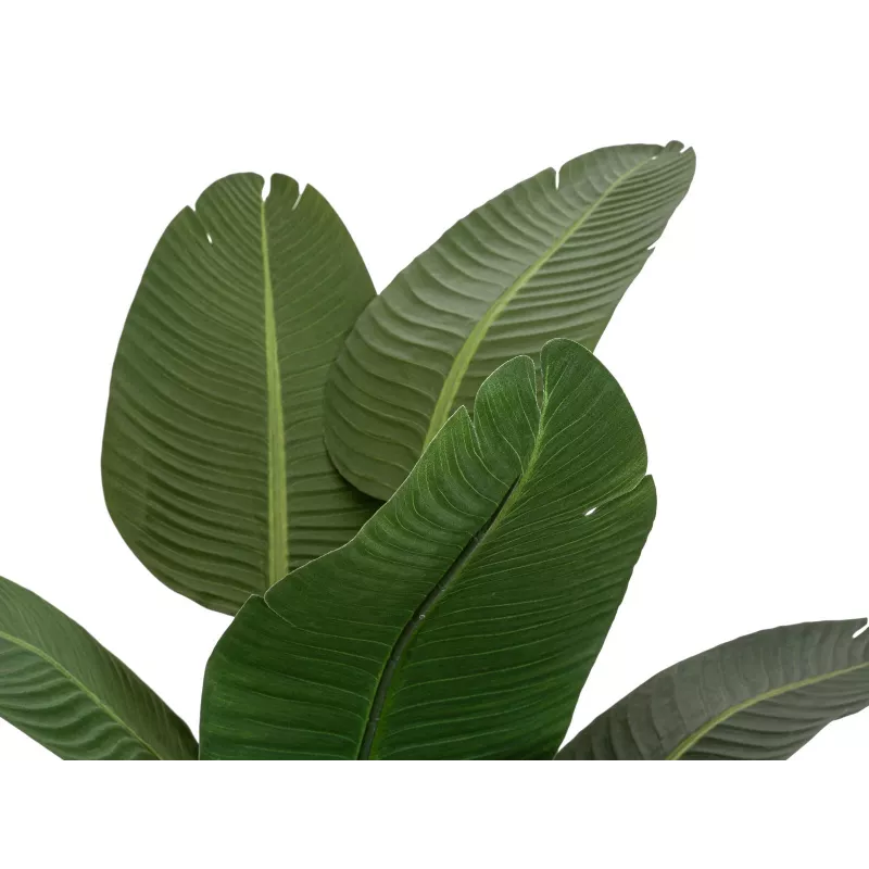EUROPALMS keinotekoinen paratiisinlintukukka, 170 cm 82540523