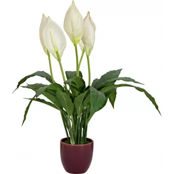 EUROPALMS keinotekoinen rauhanlilja, 60 cm 82505660