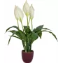 EUROPALMS keinotekoinen rauhanlilja, 60 cm 82505660