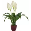 EUROPALMS keinotekoinen rauhanlilja, 60 cm 82505660