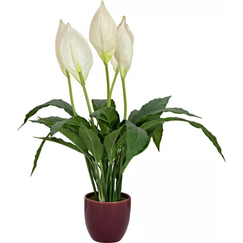 EUROPALMS keinotekoinen rauhanlilja, 60 cm 82505660