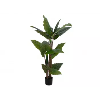 EUROPALMS alocasia tekokasvi, 140 cm, vihreä, musta ruukku 82508464