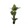 EUROPALMS alocasia tekokasvi, 140 cm, vihreä, musta ruukku 82508464