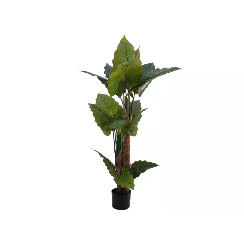 EUROPALMS alocasia tekokasvi, 140 cm, vihreä, musta ruukku 82508464