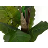 EUROPALMS alocasia tekokasvi, 140 cm, vihreä, musta ruukku 82508464