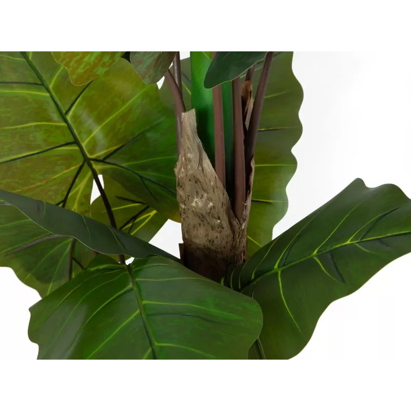 EUROPALMS alocasia tekokasvi, 140 cm, vihreä, musta ruukku 82508464