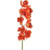 EUROPALMS Cymbidium oksa, keinotekoinen, punainen, 90 cm (82530315)