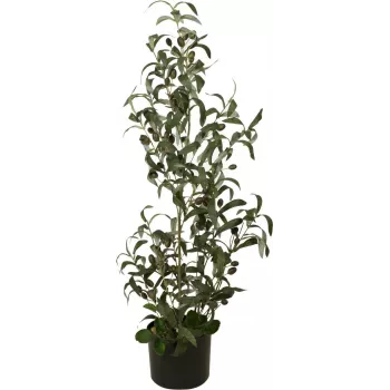 EUROPALMS keinotekoinen oliivipuu, 90 cm 82506422