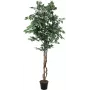 EUROPALMS hopeafiikus Benjamina tekokasvi, 180 cm 82506116