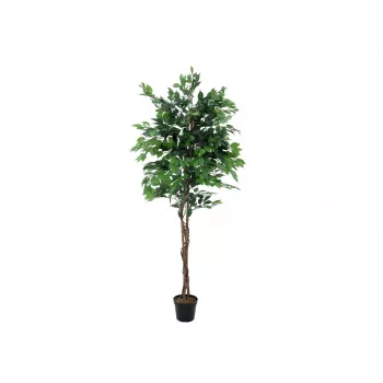 EUROPALMS Ficus Benjamina monirunkoinen tekokasvi, 210 cm 82506127