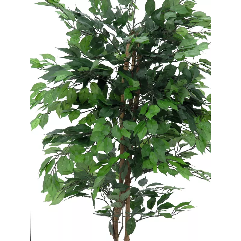 EUROPALMS Ficus Benjamina monirunkoinen tekokasvi, 210 cm 82506127