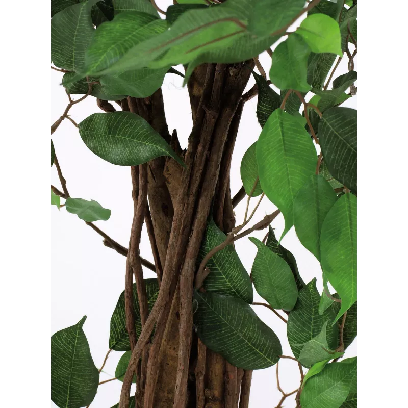 EUROPALMS Ficus Benjamina monirunkoinen tekokasvi, 210 cm 82506127