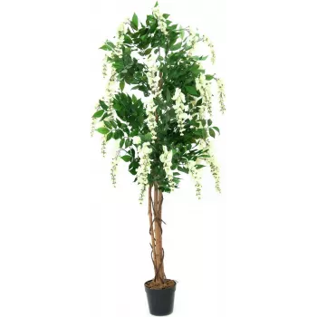 EUROPALMS Goldregen tekokasvi, valkoinen, 150 cm (82507105)