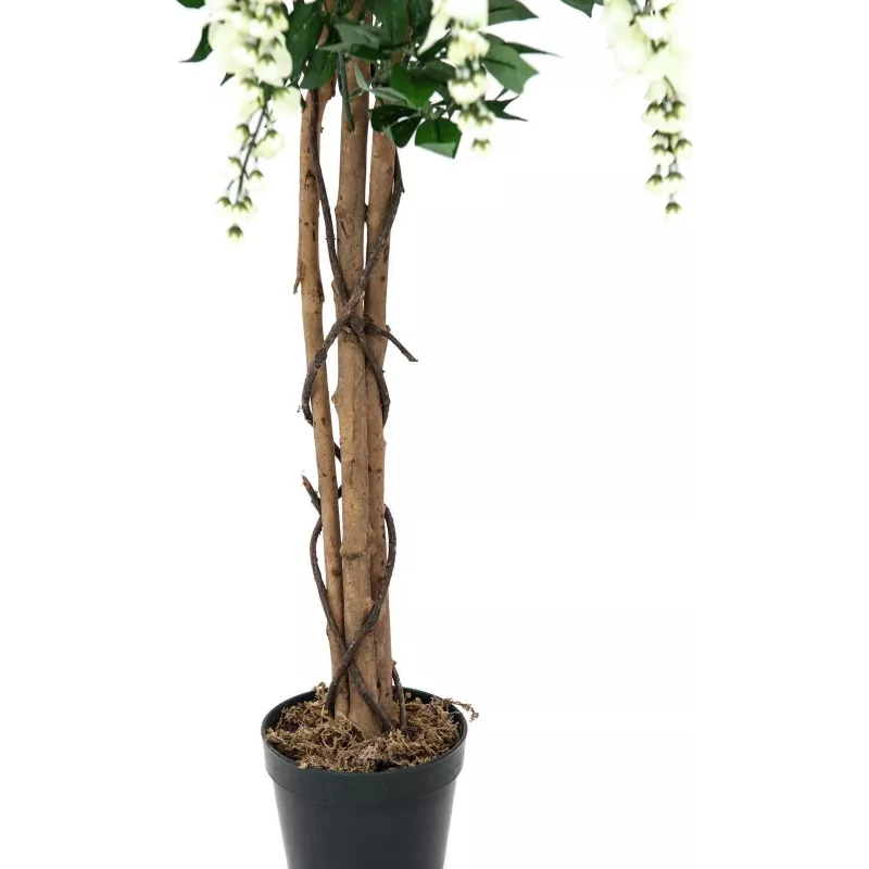 EUROPALMS Goldregen tekokasvi, valkoinen, 150 cm (82507105)