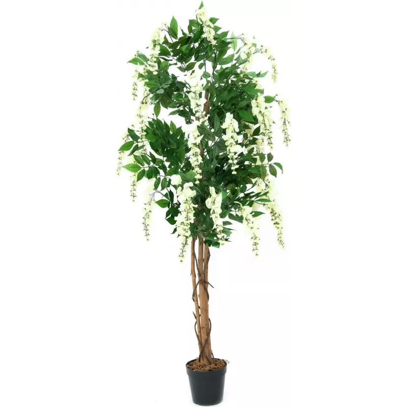 EUROPALMS Goldregen tekokasvi, valkoinen, 150 cm (82507105)