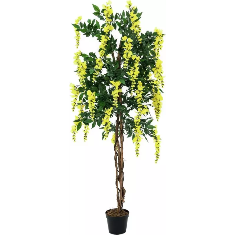 EUROPALMS Goldregen tekokasvi, keltainen, 150 cm 82507115