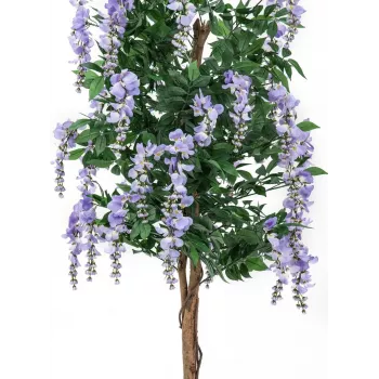 EUROPALMS tekokasvi Goldregen-puu, violetit kukat, 180 cm 82507136