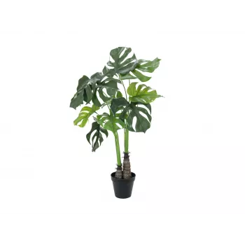EUROPALMS Monstera deliciosa tekokasvi, 90 cm 82600220