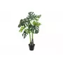 EUROPALMS Monstera deliciosa tekokasvi, 90 cm 82600220