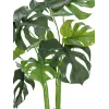 EUROPALMS Monstera deliciosa tekokasvi, 90 cm 82600220