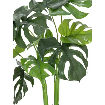 EUROPALMS Monstera deliciosa tekokasvi, 90 cm 82600220