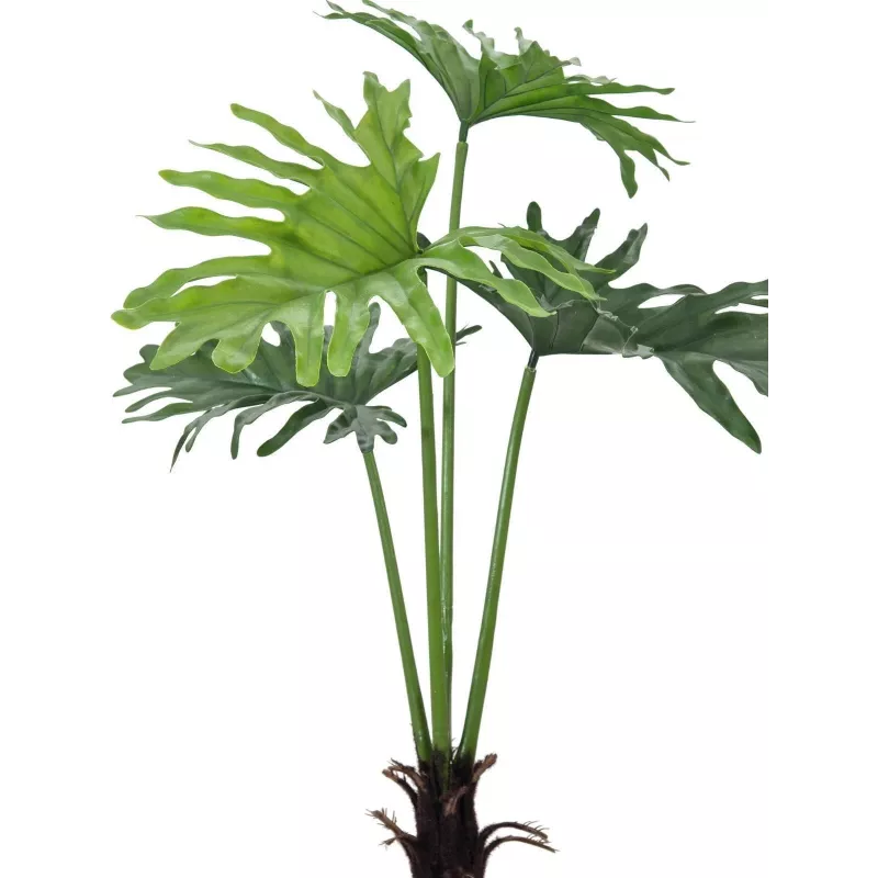 EUROPALMS Split-Leaf Philodendron tekokasvi, 120 cm 82600222