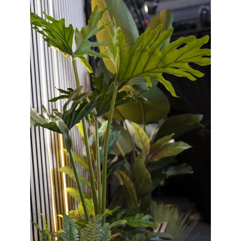 EUROPALMS Split-Leaf Philodendron tekokasvi, 120 cm 82600222
