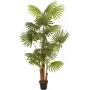 EUROPALMS keinotekoinen viuhkopalmu, 165 cm 82509305
