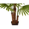 EUROPALMS keinotekoinen viuhkopalmu, 165 cm 82509305