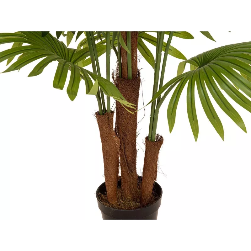EUROPALMS keinotekoinen viuhkopalmu, 165 cm 82509305
